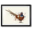 Pheasant Splash 7, reproduction d'art sur papier-520171316-520171323
