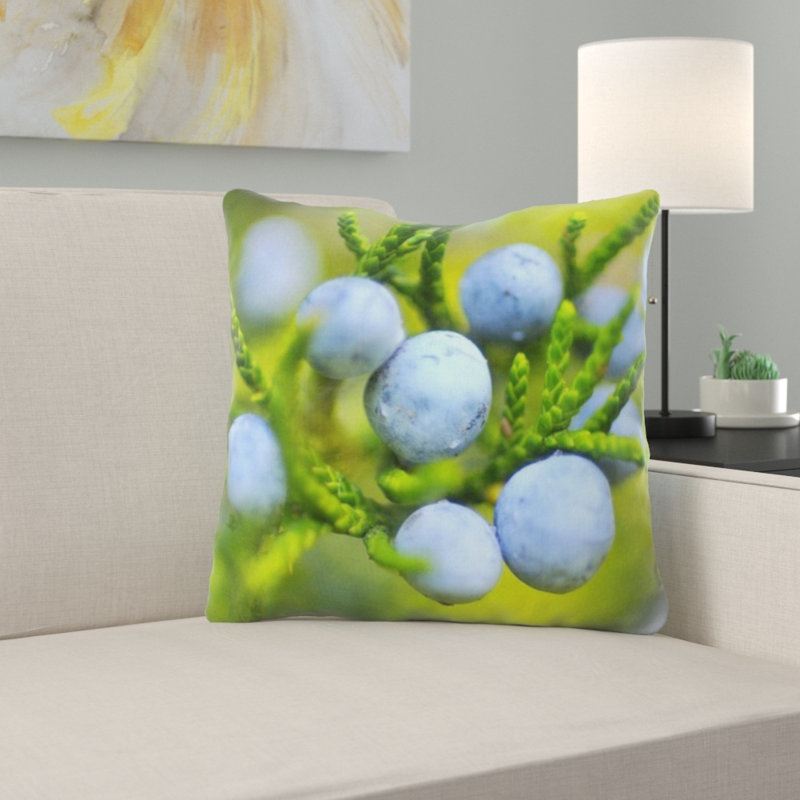 Coussin de baies