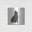 «Black Cat I» par Chris Paschke-1714202419