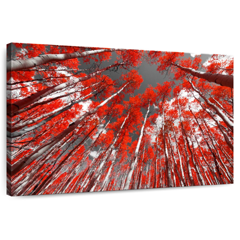 Harnek, arbres de la forêt rouge, H 32 po x l 48 po