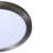 Evadale LED Flush Mount-241679160