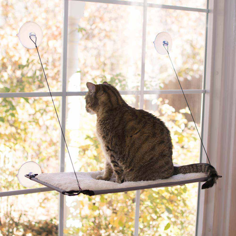 Lit pour chat spécialisé