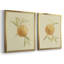 «Dappled Oranges I», toile encadrée de qualité supérieure - prête à être accrochée-1028295721-1028296694