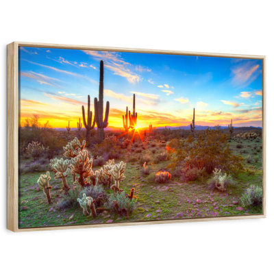 Paysage de désert de Sonora