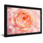 Plantes et fleurs, art floral rose-527217508-527217509-527217511