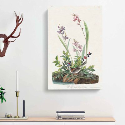 Field Sparrow - Wrapped Canvas Painting