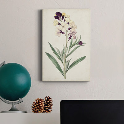 Antique Botanical Collection VII - reproduction