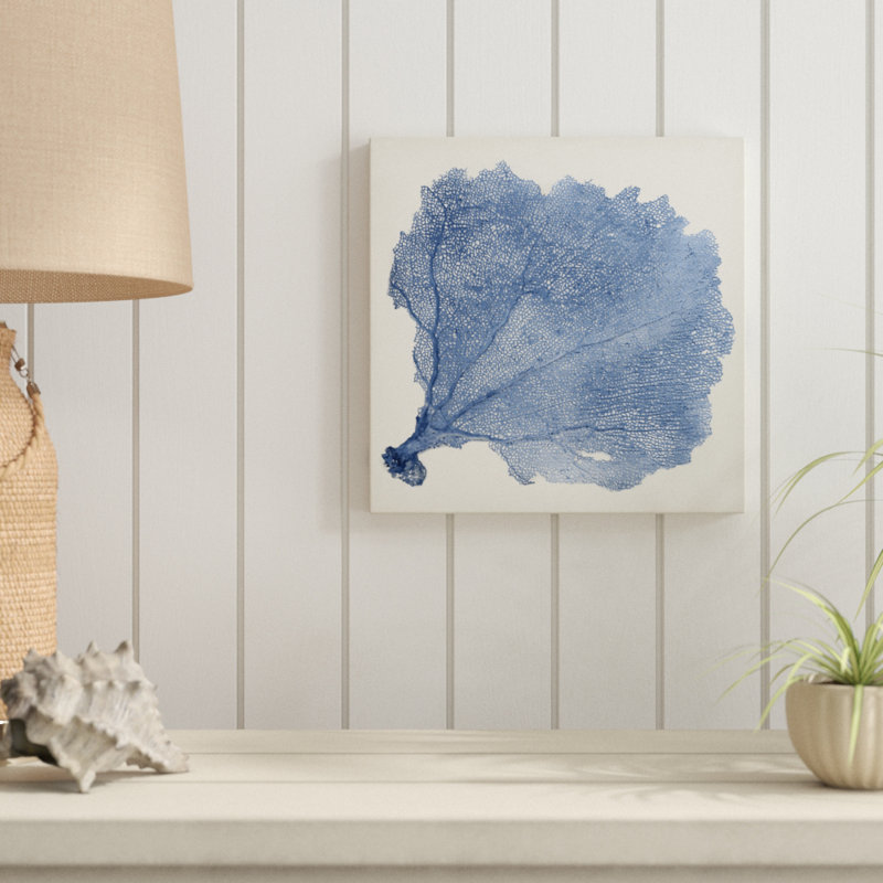 Sea Fan V - Wrapped Canvas Print, 30cm H x 30cm W