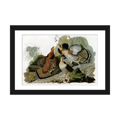 «Ruffed Grouse» par John James Audubon, impression sur toile