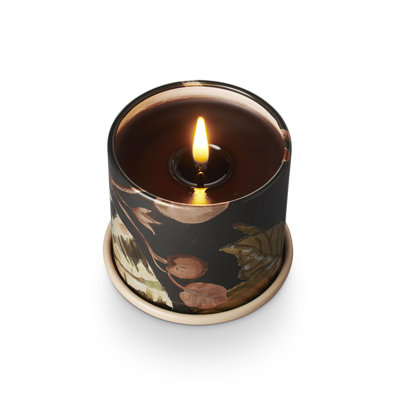 Noble Holiday Collection Midnight Pumpkin Demi Vanity Tin Candle