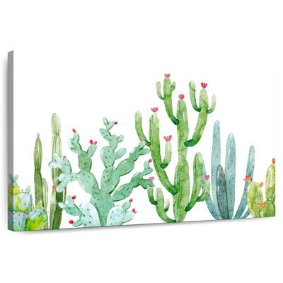 Harnek Flowering Cacti