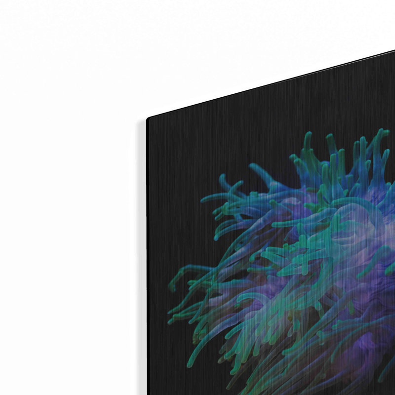 «Actinia» par Epic Portfolio, 24 po x 36 po, H 16 po x l 12 po 