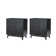 Ensemble de 2 armoires d'appoint 2 portes Maraiah