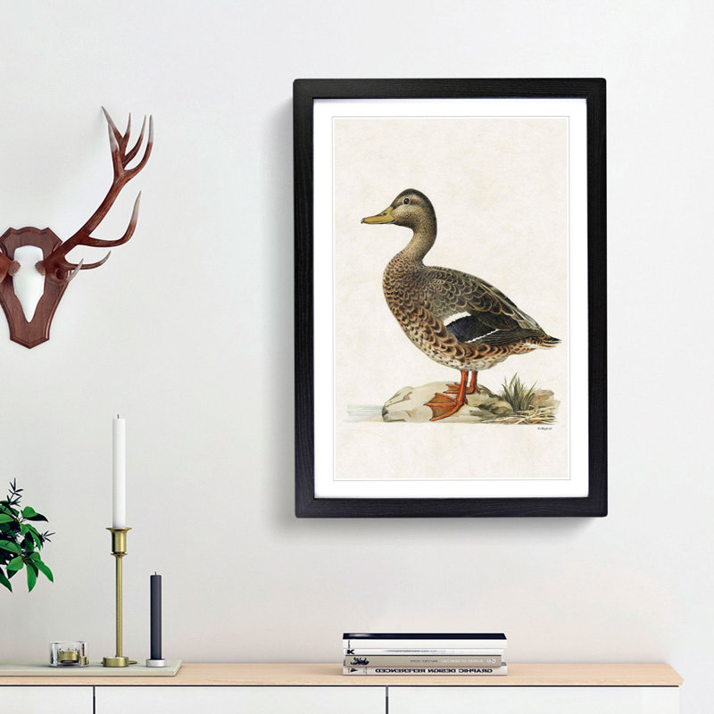 Female Mallard Duck by Von Wright - Picture Frame Painting Print, 76cm H x 50cm W x 2cm D, Black