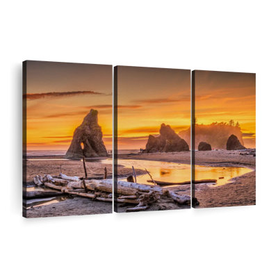 " Olympic National Park I " 3 - Pieces on