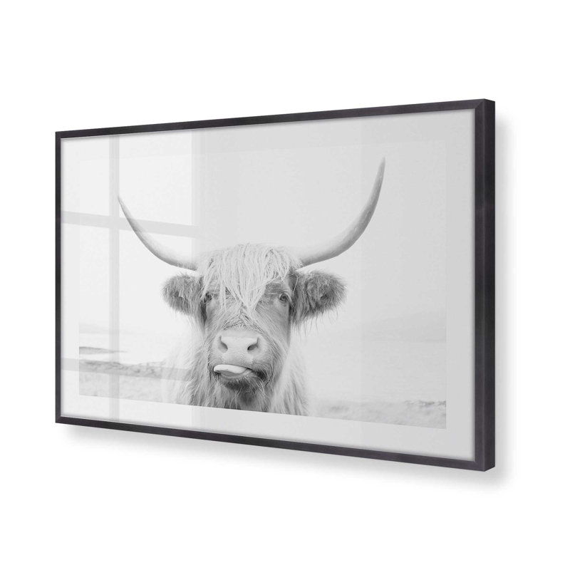Imprimé de vache Highland ludique, Cadre en zinc patiné, H 25,25 po x l 37,25 po x P 1,25 po