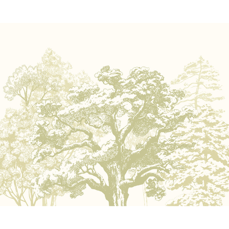 2.4m x 3m Wallpaper Roll, Green