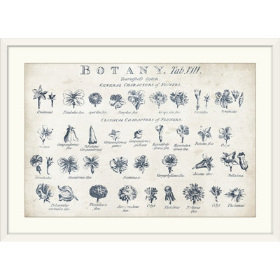 «Botany Tab VIII Indigo and White», impression