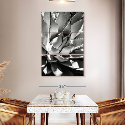 Harnek Black Arizona - Agave