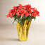 Arrangement de poinsettias-92906968-92906965-92906966