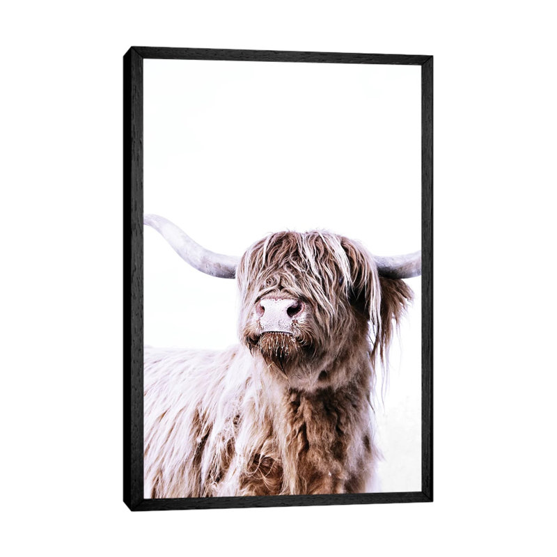 Highland Cattle Frida by Monika Strigel - Print on Canvas, 66.04 cm H x 45.72 cm W, Black Framed
