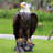 Large Standing Bald Eagle Garden Statue
