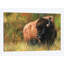 « bison i », impression sur toile-33109113-72408471-72408477