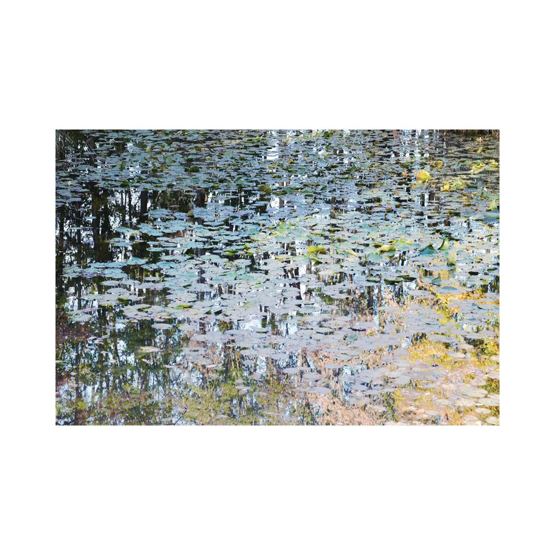 Picturesque Pond by Lena Weisbek - Wrapped Canvas Print, 20.32 cm H x 30.48 cm W