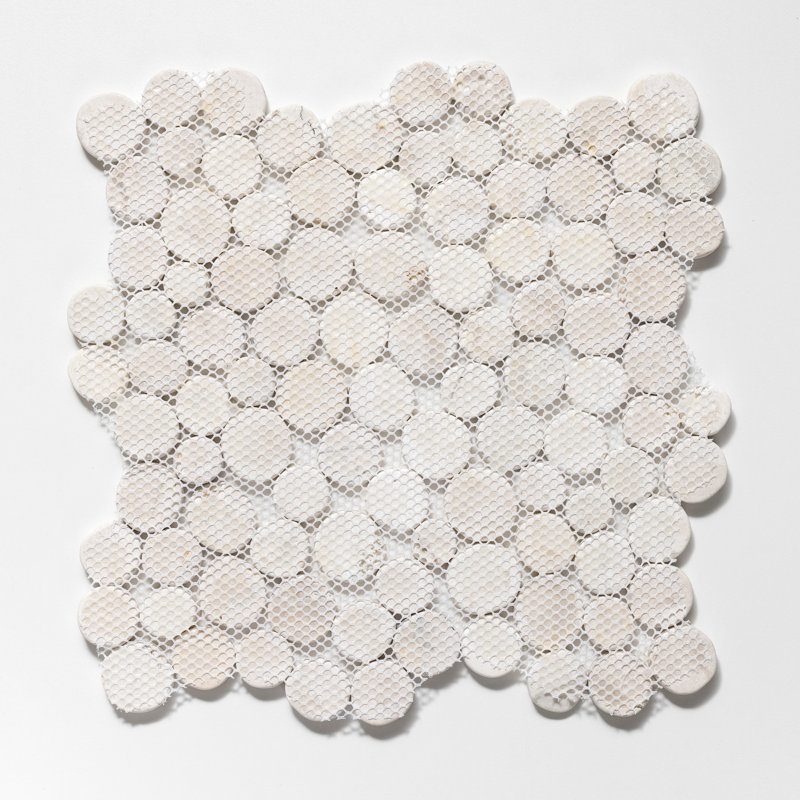 11.5" x 11.5" Random Sized Natural Stone Penny Round Mosaic Wall & Floor Tile, Off White