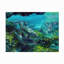 Toile d'extérieur Nhien Lucy P. Mctier «Tranquility Atlantic Bottlenose Dolphins»-87945136