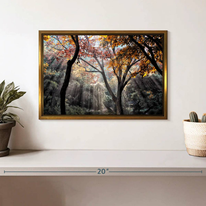Rayons de soleil de la forêt, Cadre flottant doré, 13 po x 9 po