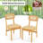 Sucheta 16.5'' H Side Chair