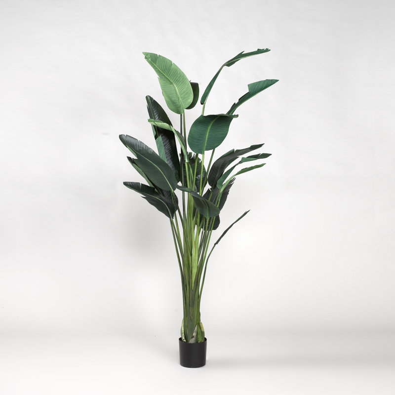 72'' Faux Traveler Palm Tree in Planter