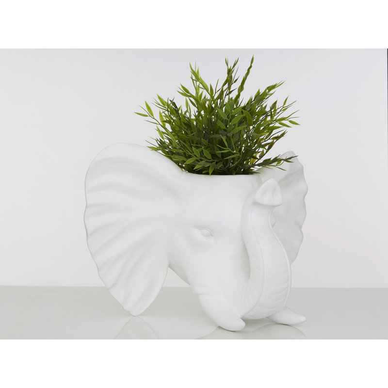 Annora Wall Planter