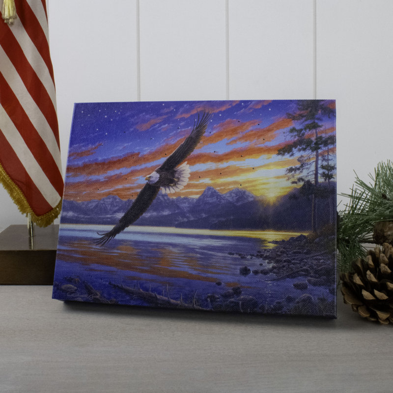 Toile de table lumineuse Freedom Flight 8X6