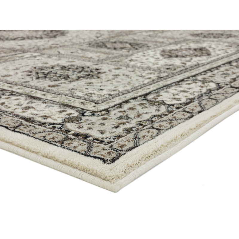 Devansh Oriental Indoor Rug, Rectangle 2'1" x 3'3"