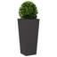 Raice Planter Box-2052166968-2052172484