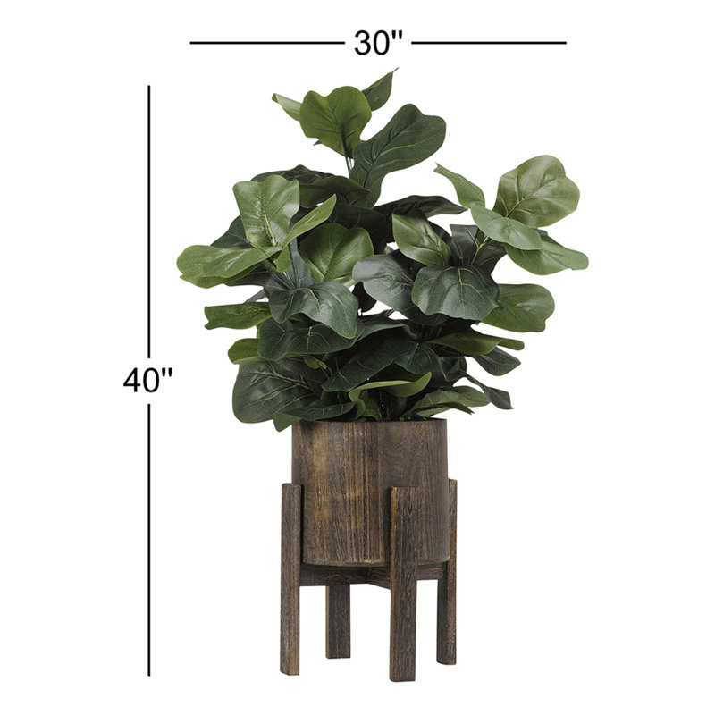 Plante à fleurs en feuille de charme