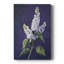 FLORAL Series CCxxxxi - galerie sur mesure-117863960