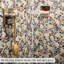 Carreau de mosaïque 12 po x 12 po pour mur et plancher
