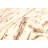 Sienna Cream Rug 5'2" x 7'0"
