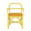Chaise en rotin vert-2021978294