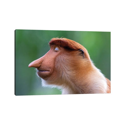 Proboscis Monkey The Inner World by Mogens Trolle - Wrapped Canvas Print