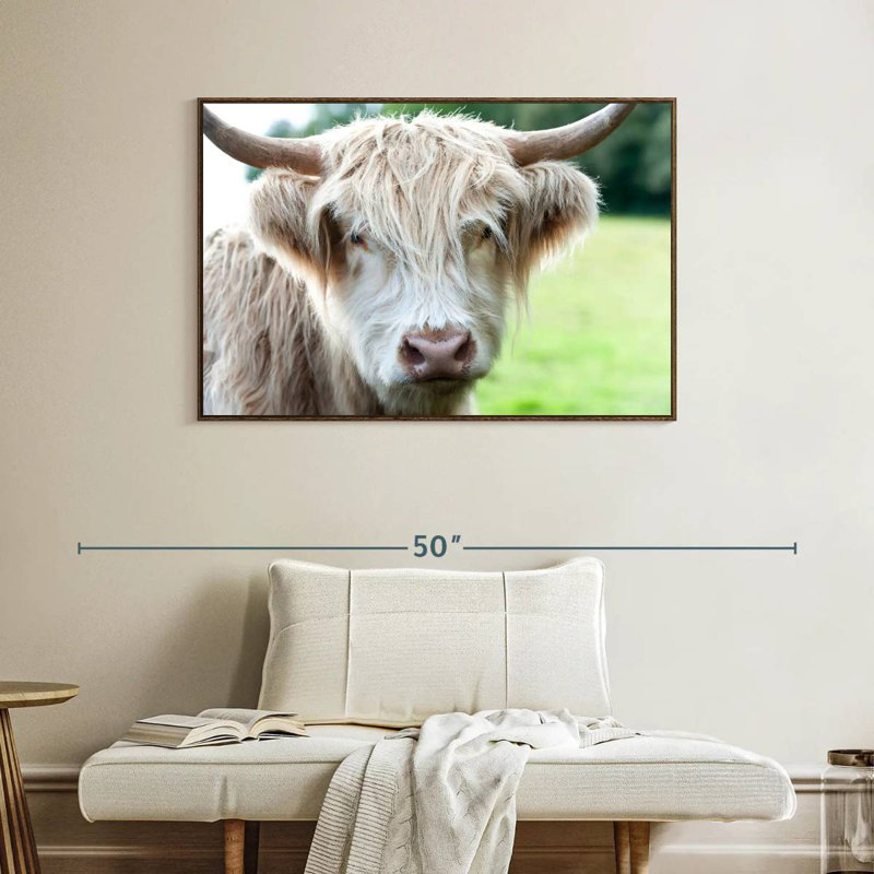 Glasgow Highland Cow, Cadre flottant noyer, 40 po x 27 po