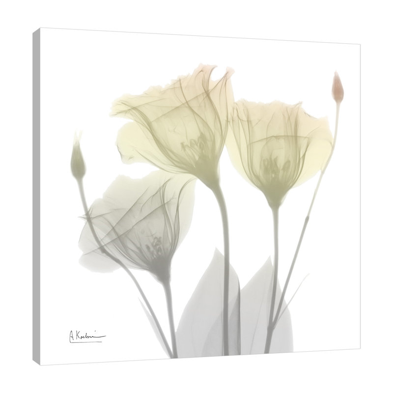 Sunday Morning Gentian - Wrapped Canvas Print, 30 cm H x 30 cm W