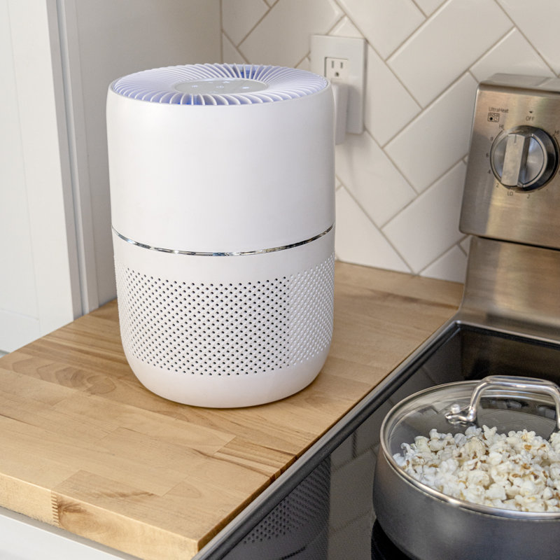 Oval White H13 HEPA Smart Desk Air Purifier