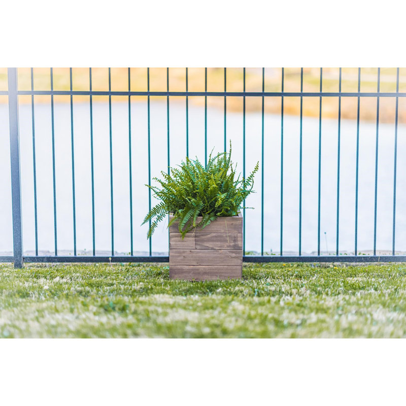 Boîte à fleurs Azha, H 15 po x l 15 po x P 15 po