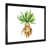 Black Picture Framed