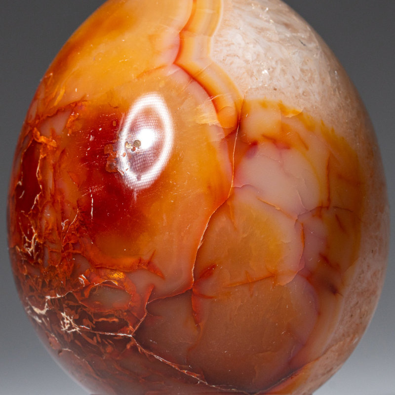 Genuine Carnelian Agate (Medium) Egg from Madagascar