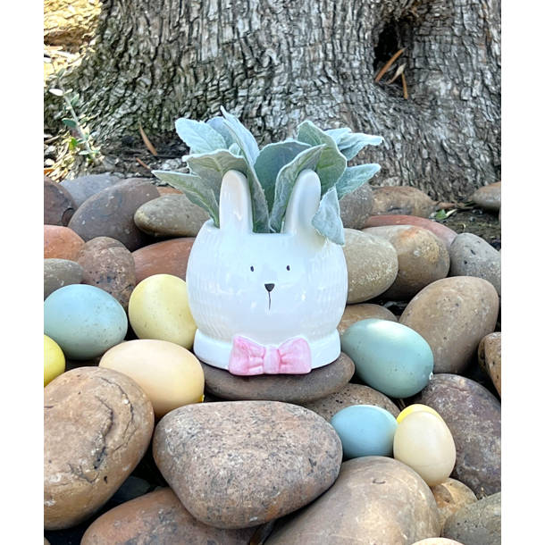 Rosalind Wheeler Vianden Bunny / Rabbit Animals Plastic Garden Statue ...